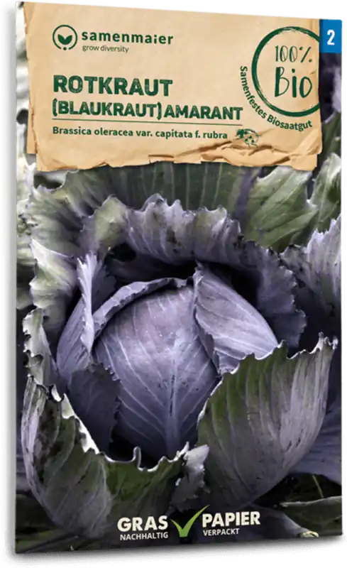 Outlet | Samen Maier Biologische Rode Kool "Amaranth"