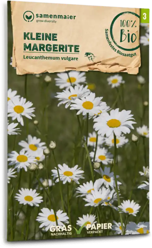 Nu beschikbaar - Samen Maier Biologisch Wilde Bloem Klein Madeliefje