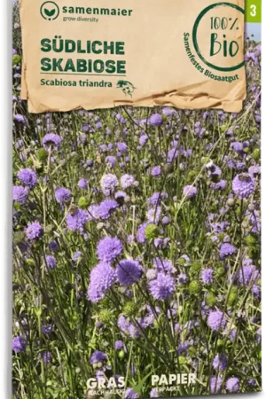 Dagdeal | Samen Maier Biologische Wilde Bloem - Zuidelijke Scabiosa
