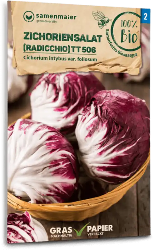 Samen Maier Biologische Witlofsalade - Radicchio | Nieuw in het assortiment