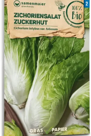 Samen Maier Biologische Witlofsalade "Zuckerhut" | Profiteer nu