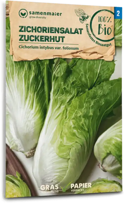 Samen Maier Biologische Witlofsalade "Zuckerhut" | Profiteer nu