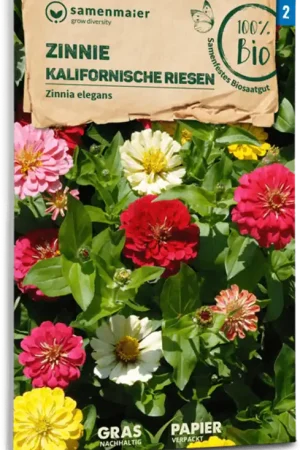 Samen Maier Biologische Zinnia "Kalifornische Riesen" - Klaar voor verzending