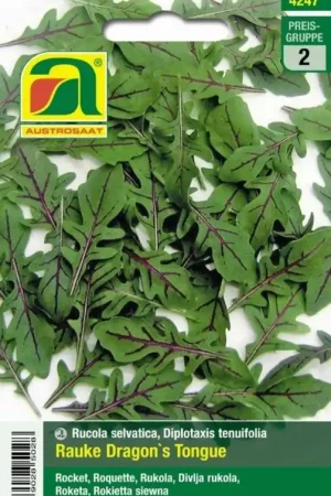 Scherpe prijs | AUSTROSAAT Rucola "Dragon´s Tongue"