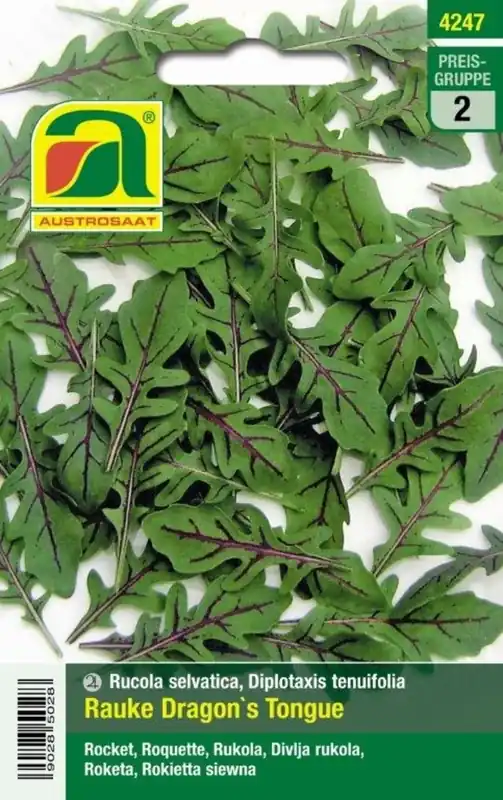 Scherpe prijs | AUSTROSAAT Rucola "Dragon´s Tongue"