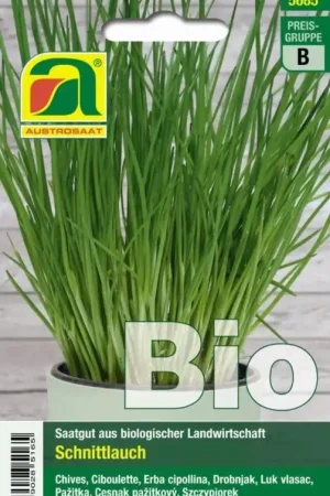 AUSTROSAAT Biologische Bieslook Staro - Bespaar nu