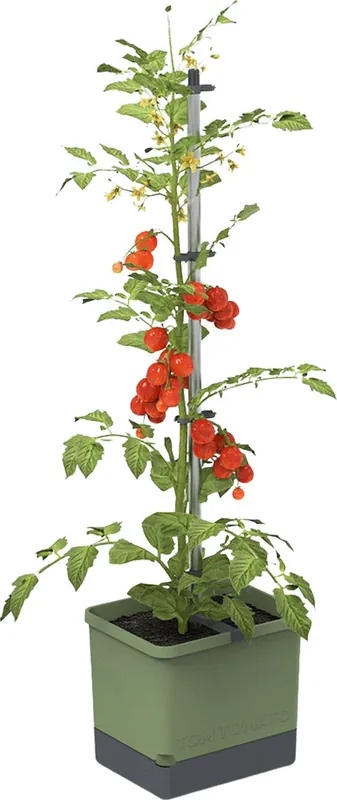 GUSTA GARDEN TOM TOMATO Plantenbak Set, Lichtgrijs - Aanbieding loopt bijna af