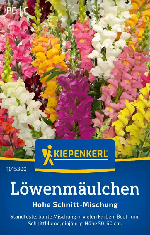 Laatste stuks - Kiepenkerl Leeuwebek Snijbloemen Mix