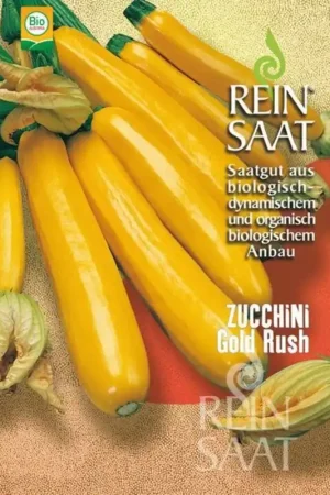 ReinSaat Courgette "Gold Rush" - Scherpe prijs