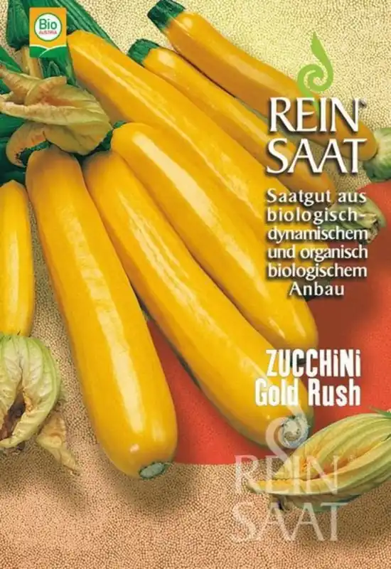 ReinSaat Courgette "Gold Rush" - Scherpe prijs