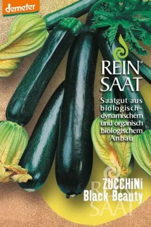 ReinSaat Courgette "Black Beauty" | Dagdeal