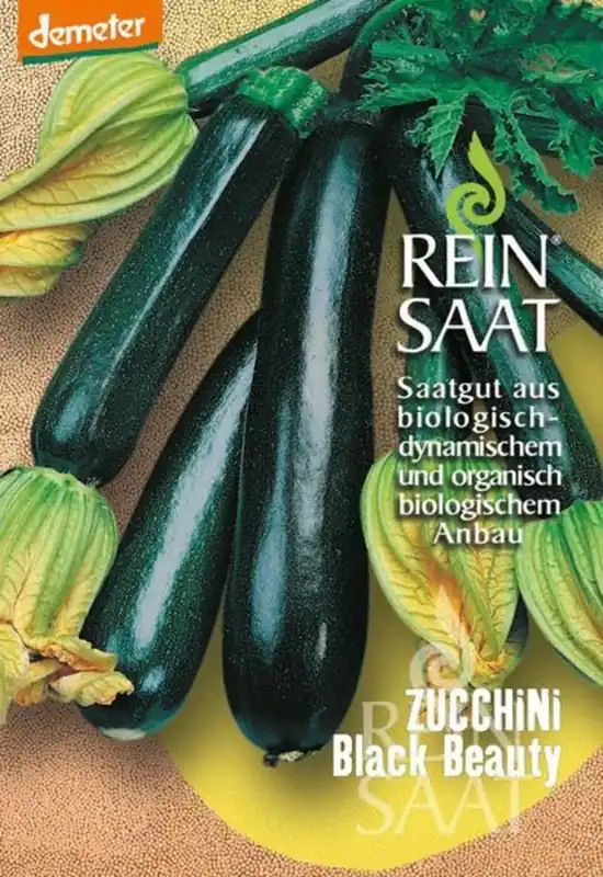 ReinSaat Courgette "Black Beauty" | Dagdeal