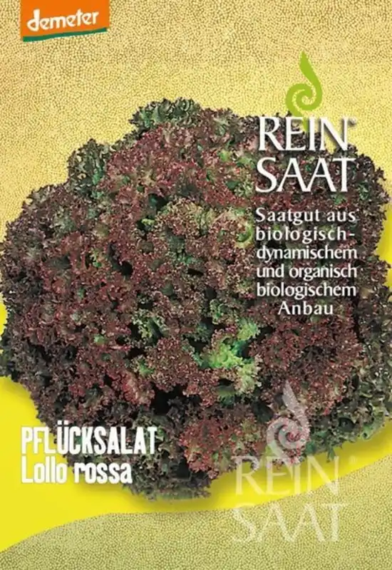 ReinSaat Sla "Lollo Rossa" - Premiumkwaliteit