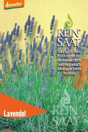 Populair - ReinSaat Lavendel