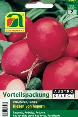 Veel gekozen | AUSTROSAAT Radijs Riesen von Aspern