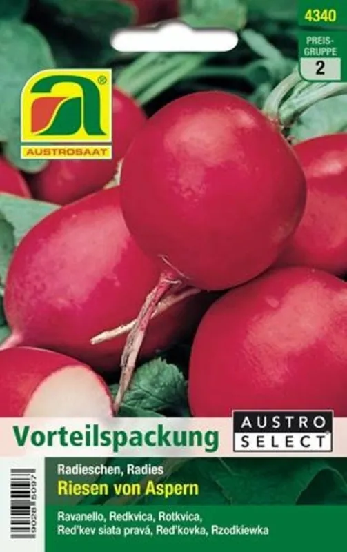 Veel gekozen | AUSTROSAAT Radijs Riesen von Aspern