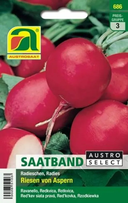 AUSTROSAAT Radijs Zaadband Riesen von Apsern - Topproduct