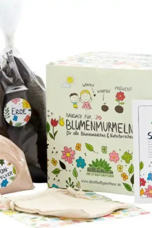 Outlet - Die Stadtgärtner Bloemenknikkers Kit