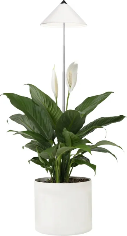 Venso SUNLite Plantenlamp 7W, Wit | Actie loopt bijna af