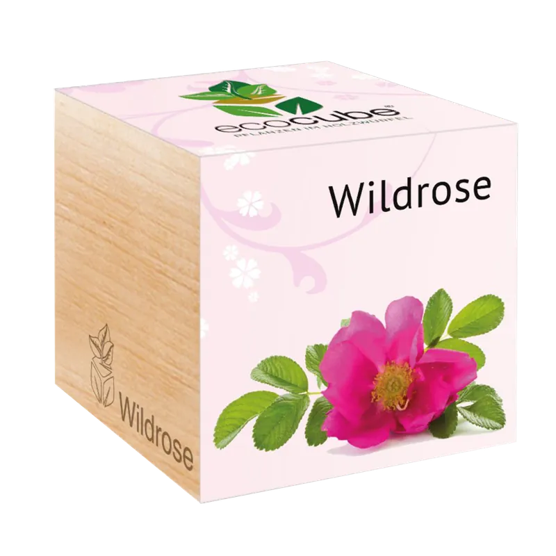 Feel Green ecocube Hondsroos, Wilde Roos - Veel gekozen