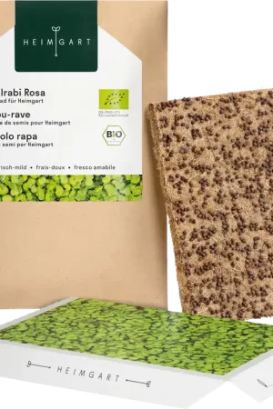 Heimgart Koolrabi Roze Microgreens Zaadschijf | Nu beschikbaar