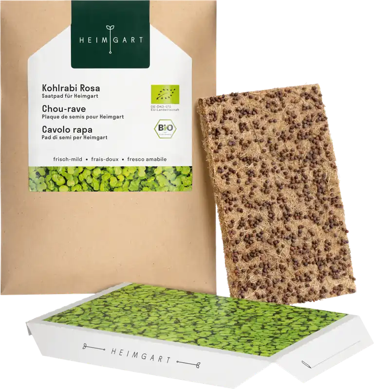 Heimgart Koolrabi Roze Microgreens Zaadschijf | Nu beschikbaar