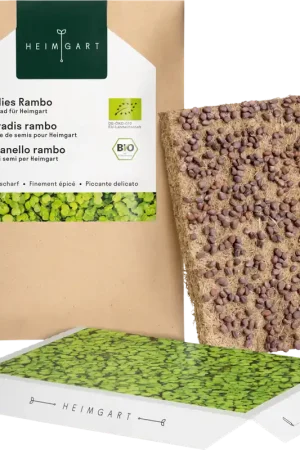 Topdeal | Heimgart Radijs Rambo Microgreens Zaadschijf