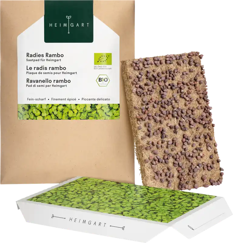 Topdeal | Heimgart Radijs Rambo Microgreens Zaadschijf