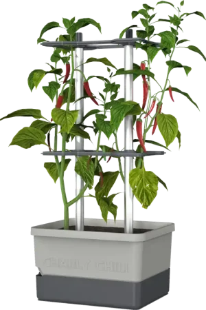 Makkelijk bestellen - GUSTA GARDEN CHARLY CHILI Plantenpot, blauw