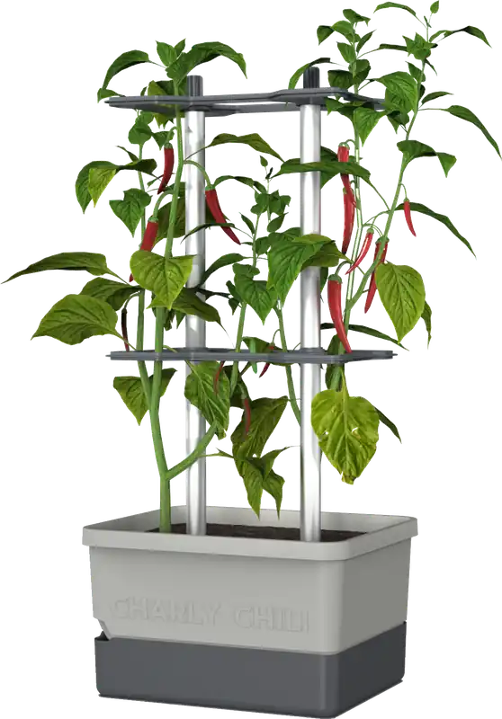 Makkelijk bestellen - GUSTA GARDEN CHARLY CHILI Plantenpot, blauw