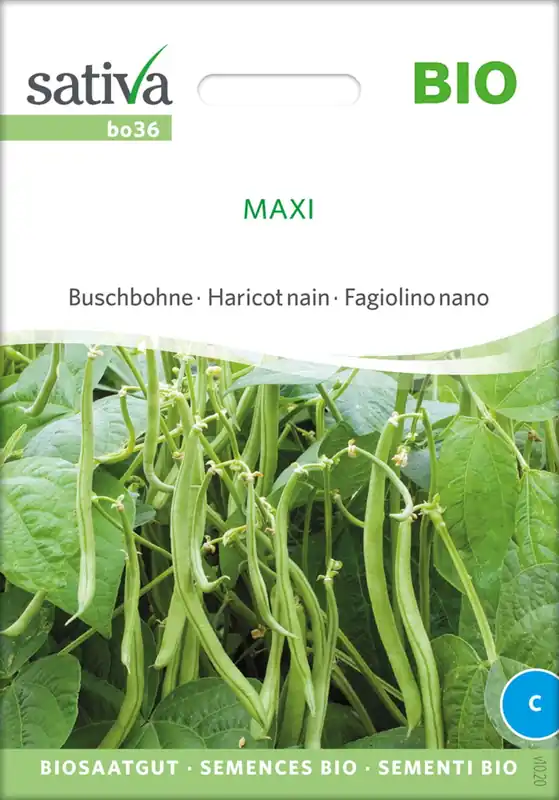 Speciale aanbieding - Sativa Biologische Struikboon "Maxi"