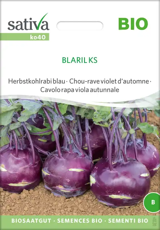 Sativa Biologische Herfstkoolrabi Blauw “Blaril Ks” | Hoge kwaliteit