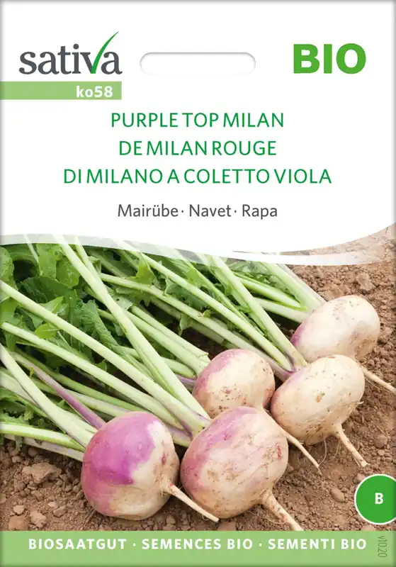 Sativa Biologische Meiraap "Purple Top Milan" - Veilig betalen