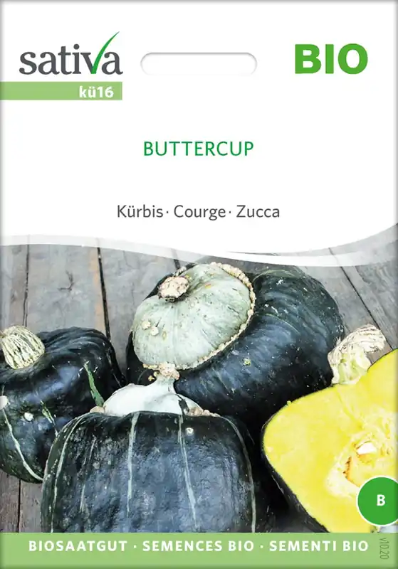 Superprijs - Sativa Biologische Pompoen "Buttercup"