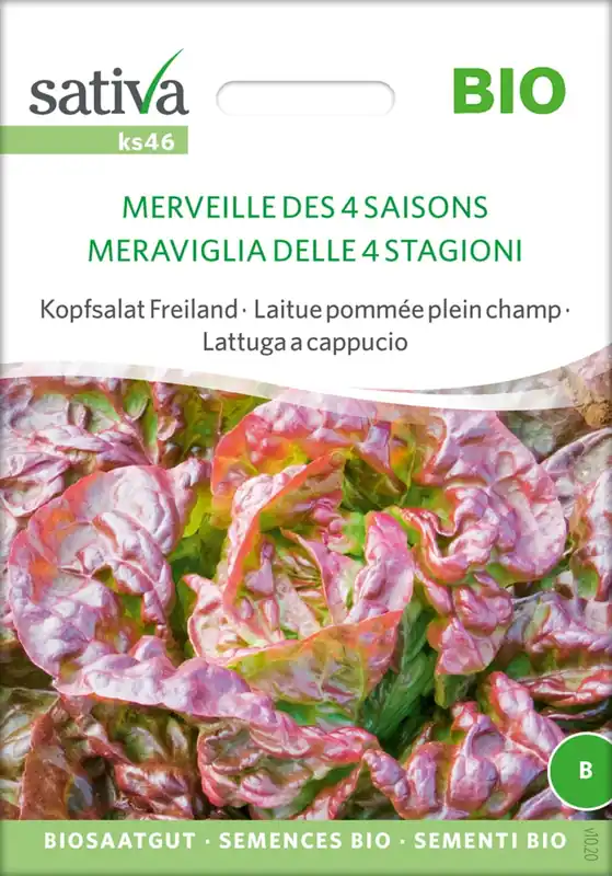 Sativa Biologische Sla Volle Grond "Merveille Des 4 Saisons" - Nieuw binnen