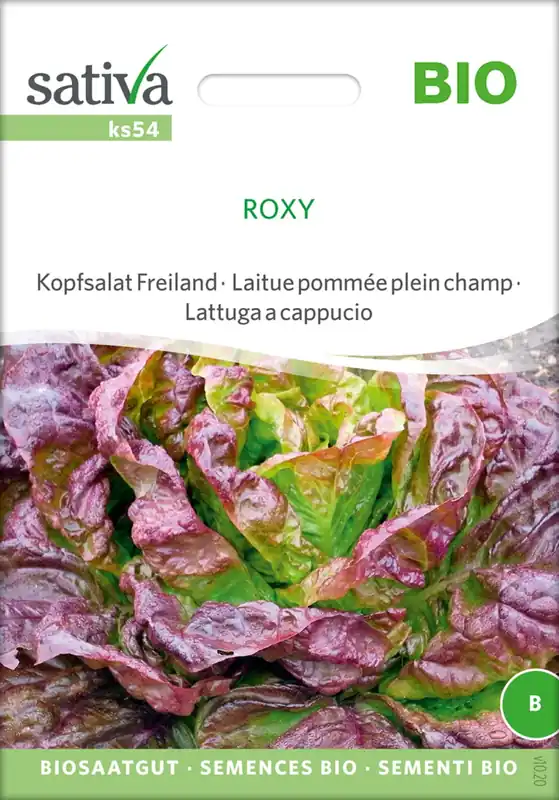 Sativa Biologische Volle Grond Sla "Roxy" | Beste prijs