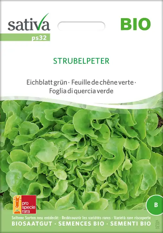 Hoge kwaliteit - Sativa Biologisch Eikenblad Groen "Strubelpeter"