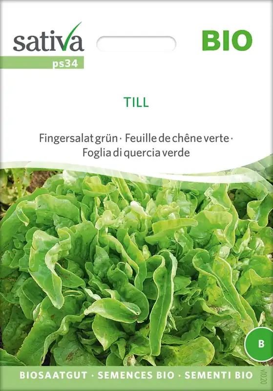 Sativa Biologische Groene Vinger Salade "Till" - Professionele kwaliteit
