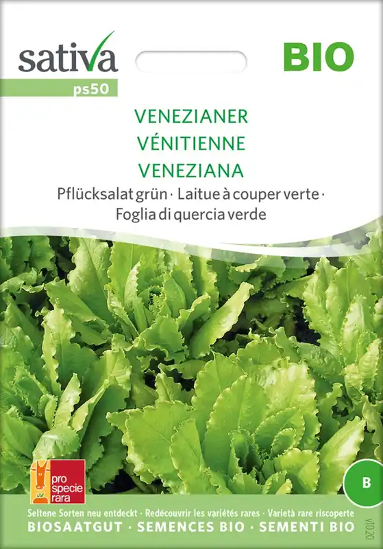 Laatste stuks | Sativa Biologische Groene Pluksla - Venetiaans