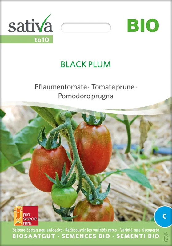 Sativa Biologische Pruimtomaat "Black Plum" | Aanbieding