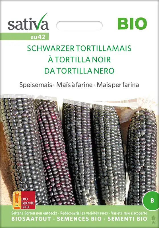 Sativa Biologische Suikermaïs "Schwarzer Tortillamais" - Uitverkoop