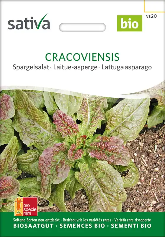Sativa Biologische Aspergesalade "Cracoviensis" | Profiteer nu