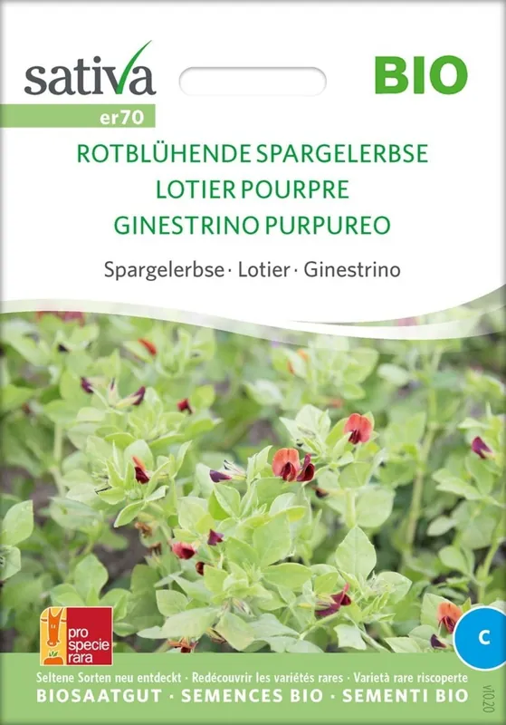 Voorraad bijna op | Sativa Biologische Aspergeerwt "Rotblühende Spargelerbse"