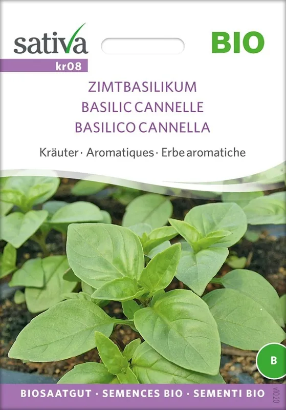 Sativa Biologische Kruiden "Kaneelbasilicum" | Direct van de fabrikant