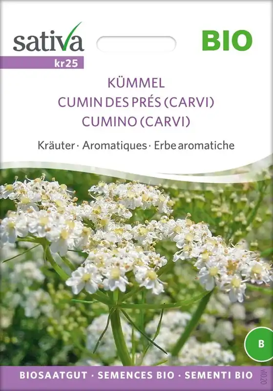 Sativa Biologische Kruiden "Karwij" | Fabrieksprijs