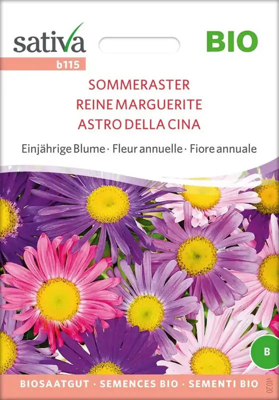 Sativa Biologische Eenjarige Bloem “Zomeraster” | Fabrieksprijs