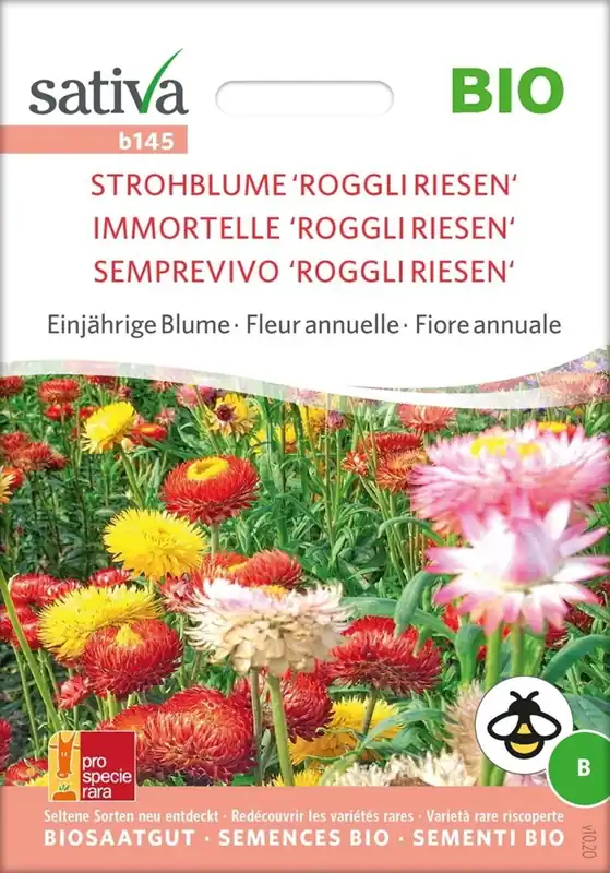 Sativa Biologische Eenjarige Bloem "Strohblume ‘Roggli Riesen‘" - Uitverkoop