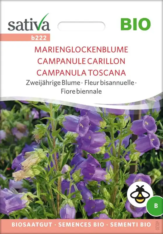 Snelle verzending | Sativa Biologische Tweejarige Bloem "Marienglockenblume"
