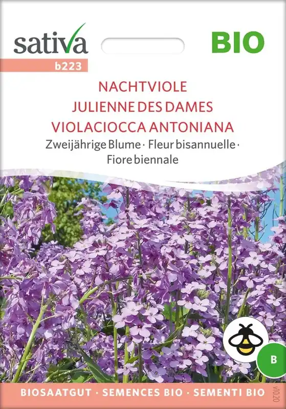 Scherpe prijs - Sativa Biologische Tweejarige Bloem Nachtviooltje