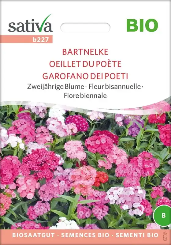 Sativa Biologische Tweejarige Bloem "Bartnelke" - Dagdeal